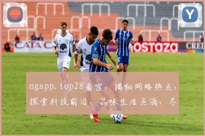 ngapp.top28南宫，揭秘网络热点，探索科技前沿，品味生活点滴，尽在南宫