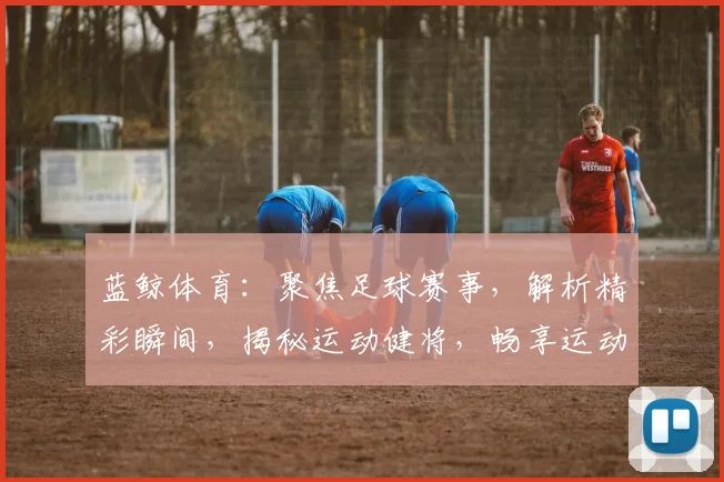 蓝鲸体育：聚焦足球赛事，解析精彩瞬间，揭秘运动健将，畅享运动盛宴，助力健身潮流。