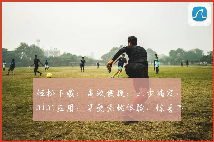 轻松下载，高效便捷，三步搞定，hint应用，享受无忧体验，惊喜不断