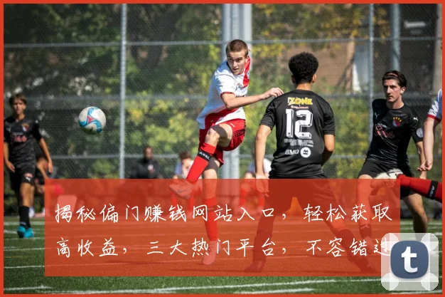 揭秘偏门赚钱网站入口，轻松获取高收益，三大热门平台，不容错过，必看攻略